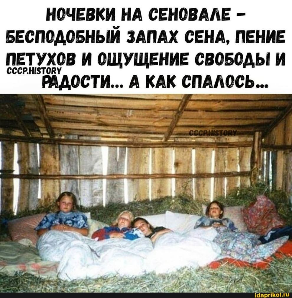 НОЧЕВКИ НА СЕНОВААЕ БЕСПОАОБНЫЙ ЗАПАХ СЕНА ПЕНИЕ ПЕТУХОВ И ОЩУЩЕНИЕ СВОБОДЫ И СССРШЗТОКУ РАДОСТИ А КАК СПААОСЬ