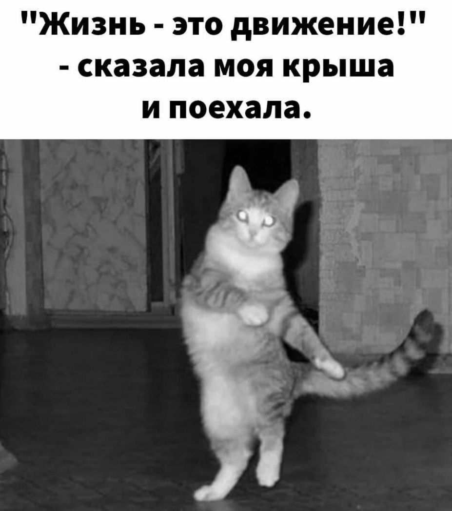 Жизнь это движение сказала моя крыша и поехала