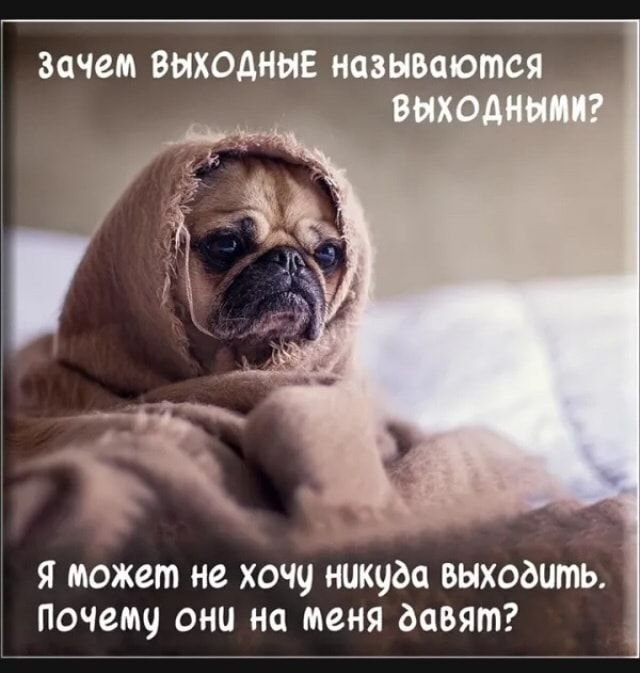 ЗОЮМ ВЫХОДНЫЕ называются _ Я может не ХОЧЧ никуда выходить ПОЮМЧ ОНИ НС ИЮНЯ давят