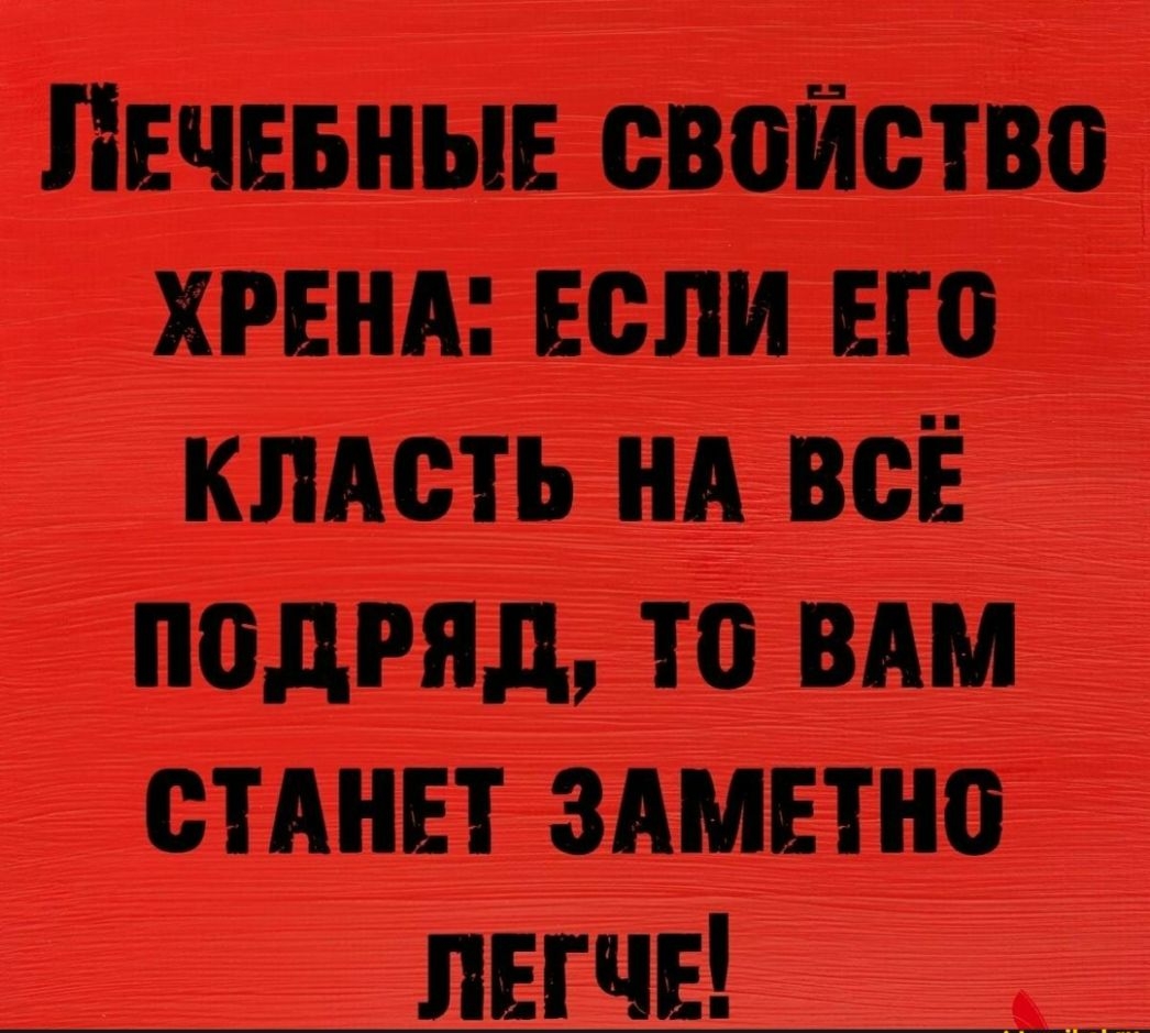 ЛЕЧЕБНЫЕСВБИШВБЁЁ хрвнд Ёспичд _ клясть НА всЁ подряд то вдм стАнЁт здмвтно пЕгчЁ
