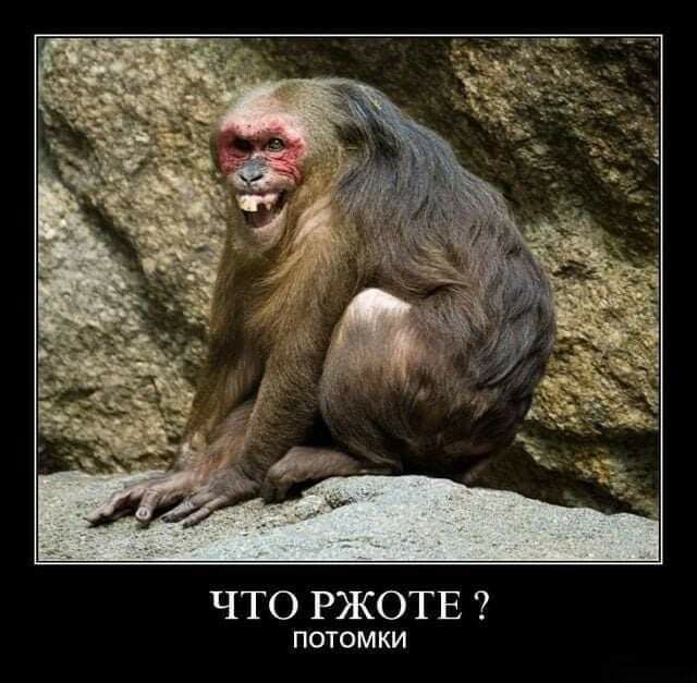 ЧТО РЖОТЕ ПОТОМКИ