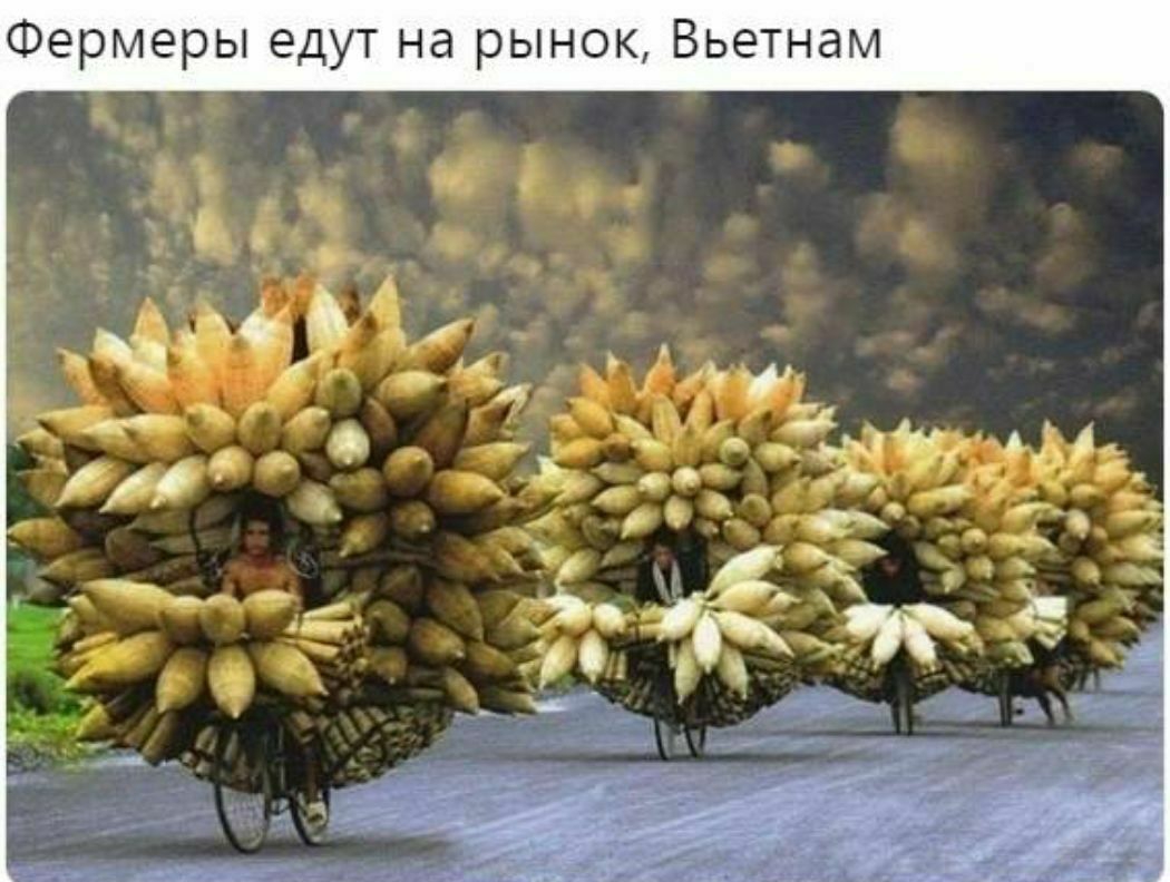 Фермеры едут на рынок Вьетнам