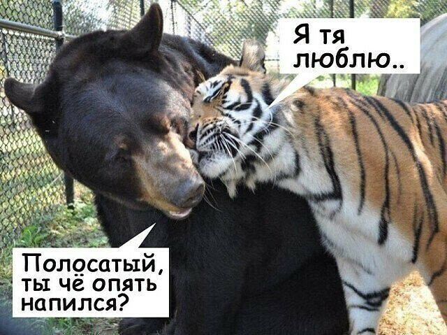 М В штл сос О6Л лчи _ мт __ ОЫП гг _ Рю