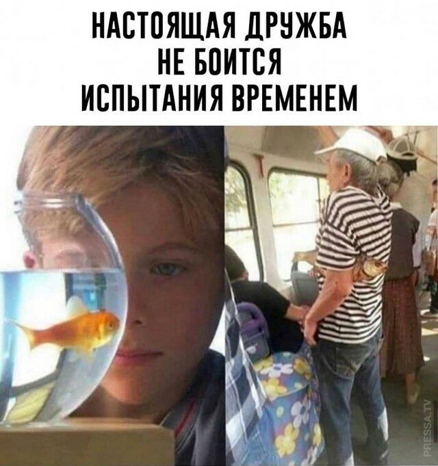 НАПТПЯЩАЯ ЛРНЖБА НЕ БОИТСЯ ИСПЫТАНИЯ ВРЕМЕНЕМ