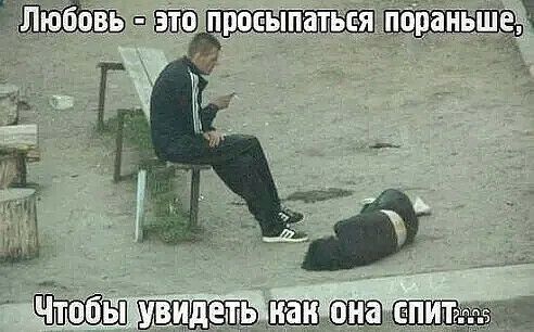 Ёж в прос