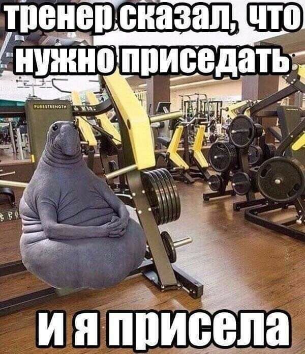 тпен енетісназап1чт01 іипнн пписеддть Е Е __ Ё _ __д _а 7 _ т