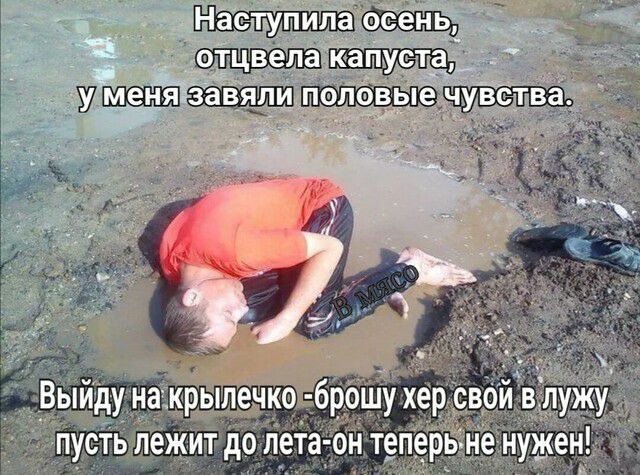 щ аа7 37