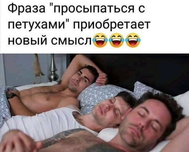 Фраза просыпаться с петухами приобретает __ц новый смыслЁ