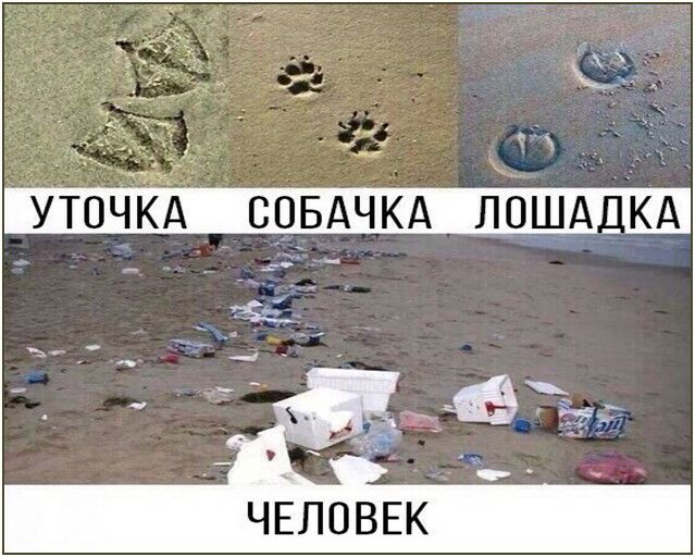 ЧЕЛОВЕК