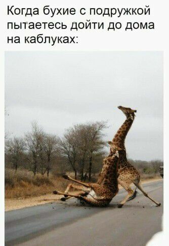 Когда бухие с подружкой пытаетесь дойти до дома на кабпуках
