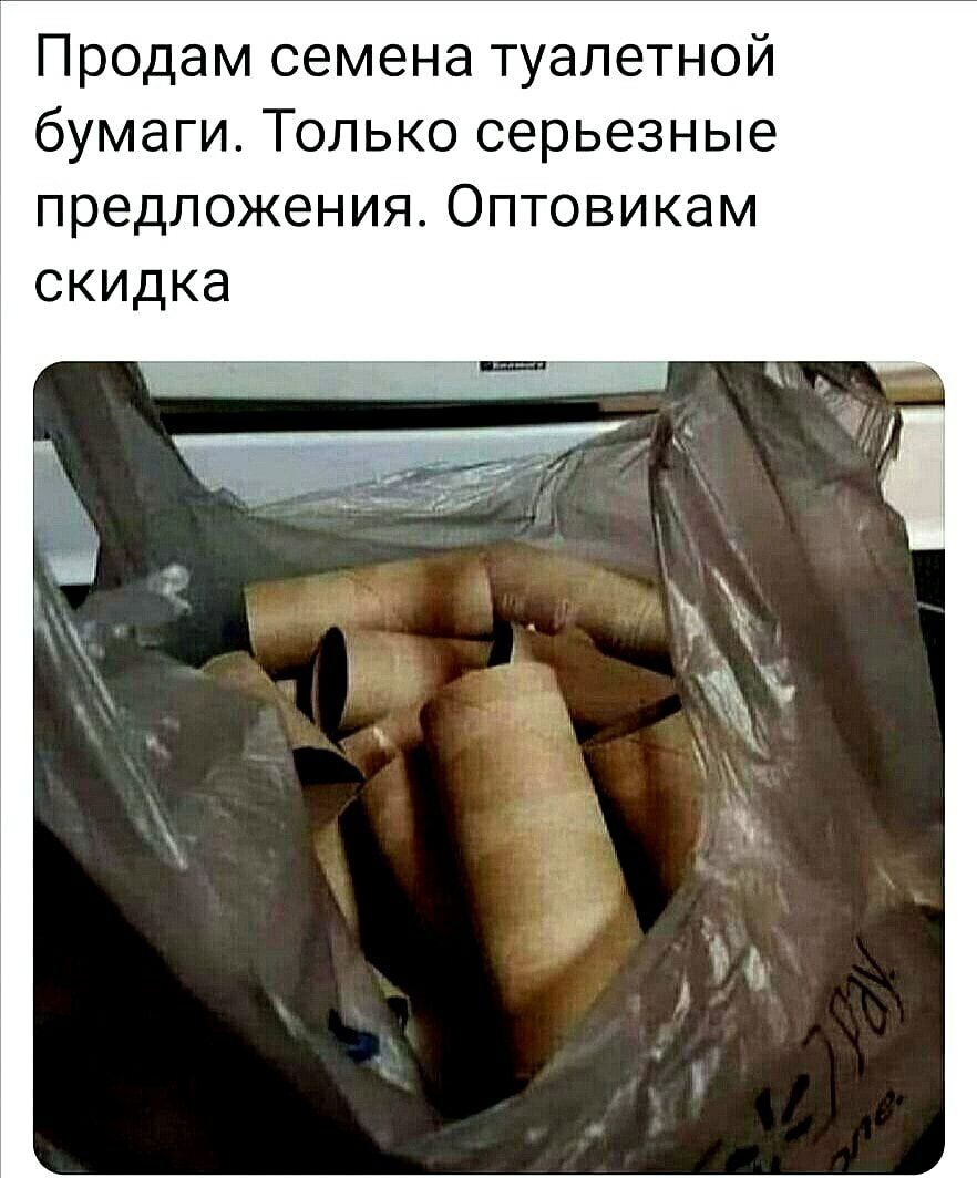 Продам семена туалетной бумаги Только серьезные предложения Оптовикам скидка