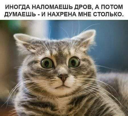 ИНОГДА НАПОМАЕШЬ ПРОВ А ПОТОМ ДУМАЕШЬ И НАХРЕНА МНЕ СТОЛЬКО