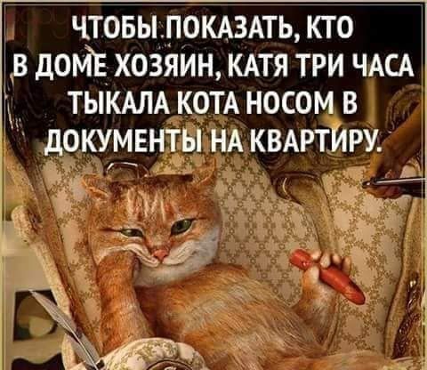 чтовыломздть кто в домв хозяин КАТЯ три ЧАСА к ТЫКАЛА котд носом в документы НА КВАРТИРУ Ё и 4