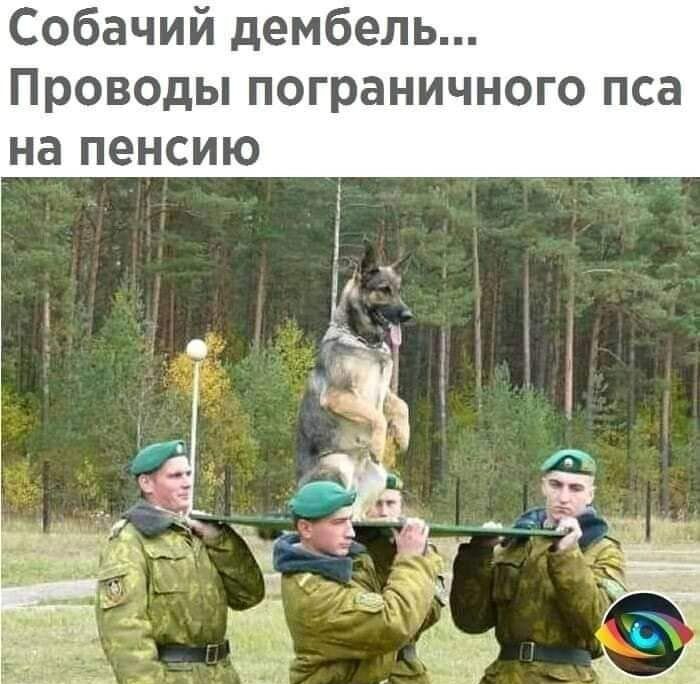 Собачий дембель Проводы пограничного пса на пенсию