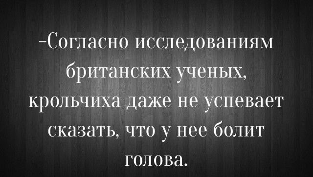 С0гласн0 исследованиям британских ученых крольчиха даже не успевает сказать что у нее болит голова