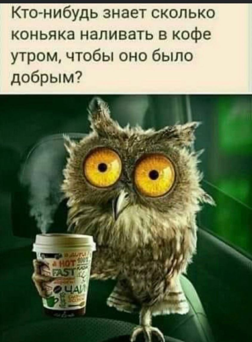 Ктонибудь знает сколько коньяка наливать в кофе утром чтобы оно было добрым