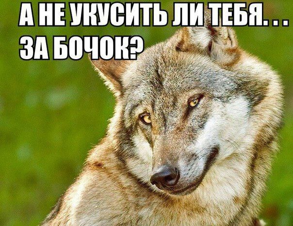 АНЕУНТСИТЬЦИ ЕБП ЗАБВЧВН