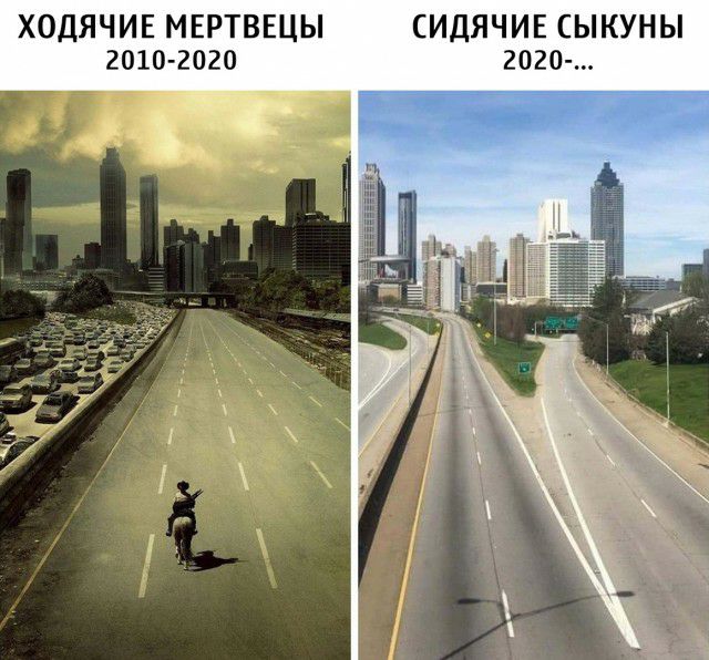 ХОДЯЧИЕ МЕРТВЕЦЫ СИДЯЧИЕ СЫКУНЫ 2010 2020 2020
