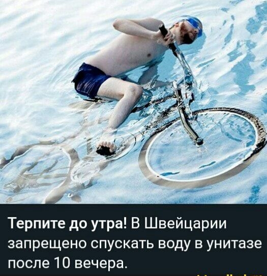 Терпите до утра В Швейцарии запрещено спускать воду в унитазе после 10 вечера