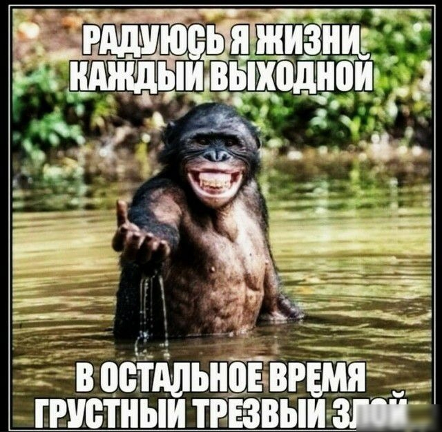 вовтдль оъврвмя гвшпныитр пвыиш
