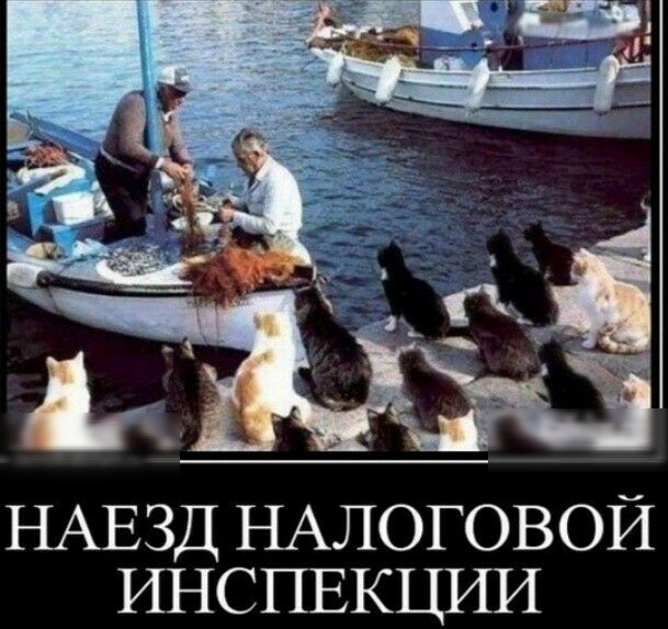НАЕЗД НАЛОГОВОЙ ИНСПЕКЦИИ