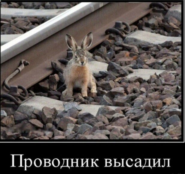 Проводник высадил