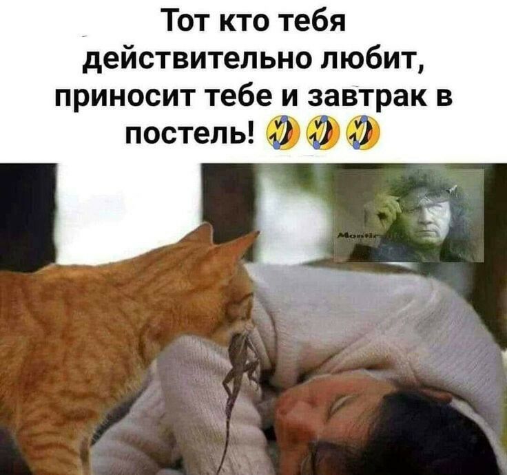 _ Тот кто тебя действительно любит приносит тебе и завтрак в постель дд ад