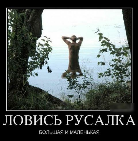 ЛОВИСЬ РУСАЛКА БОПЬШАЯ И МАПЕНЬКАЯ