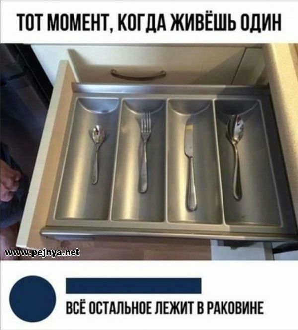 ТПТ МОМЕНТ КОГДА ЖИВЁШЬ ОДИН ВСЁ ПВТАЛЫЮЕ ЛЕЖИТ В РАКОВИНЕ