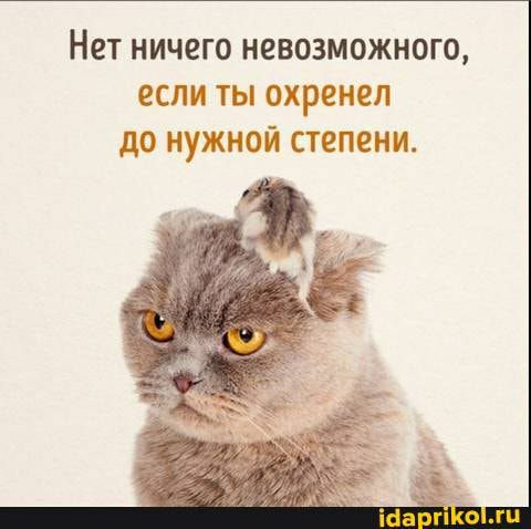 Нет НИЧЕГО НЕВОЗМОЖНОГО ЕСЛИ ТЬ ОКРЕНВЛ 335 НЪЖНОИ СТЗЁЗНИ