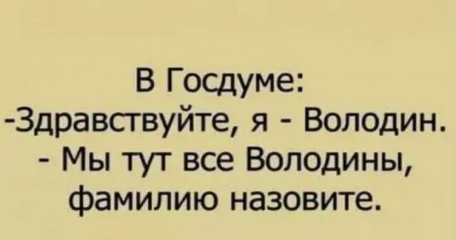 В Госдуме Здравствуйте я Володин Мы тут все Володины фамилию назовите