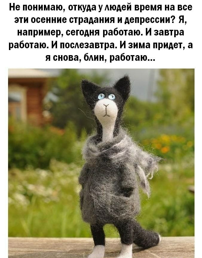 Не понимаю откуда упюдей время на все эти осенние страдания и депрессии я например сегодня работаю И завтра работаю И поспезавтра И зима придет а я снова блин работаю