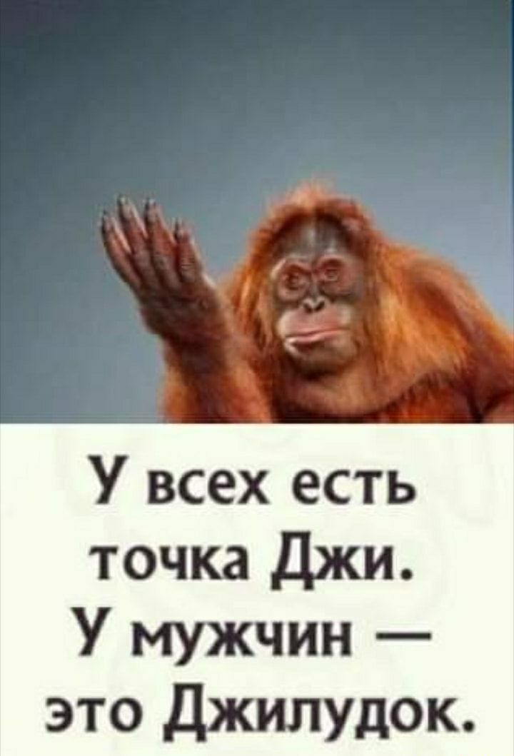 У всех есть