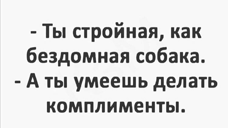 Ты стройная как бездомная собака А ты умеешь делать комплименты
