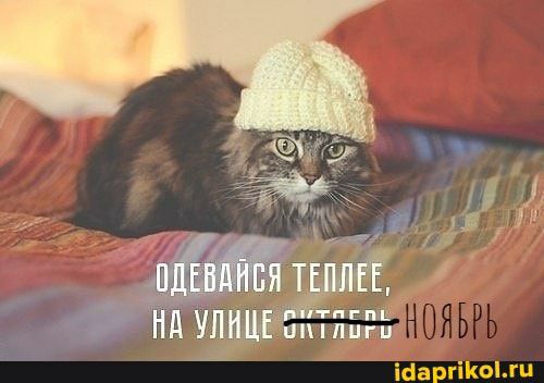 пги ібаргіКоЫи