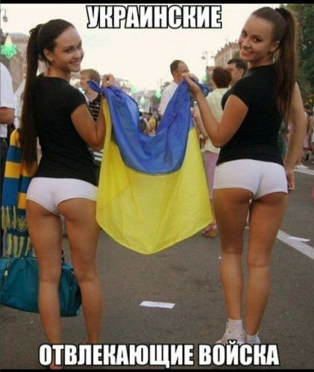 отвиншющи найдеш