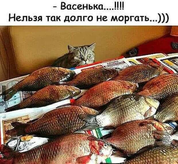 Васенька Нельзя так долго не моргать