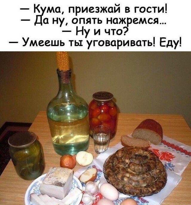 Дума приезжай в гости а ну опять нажремся Ну и что Умеешь ть1 уговаривать Еду