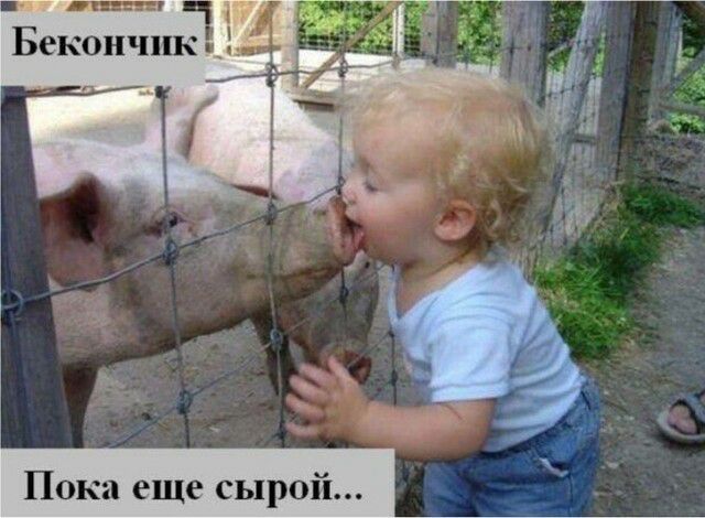 Пока еще сырой