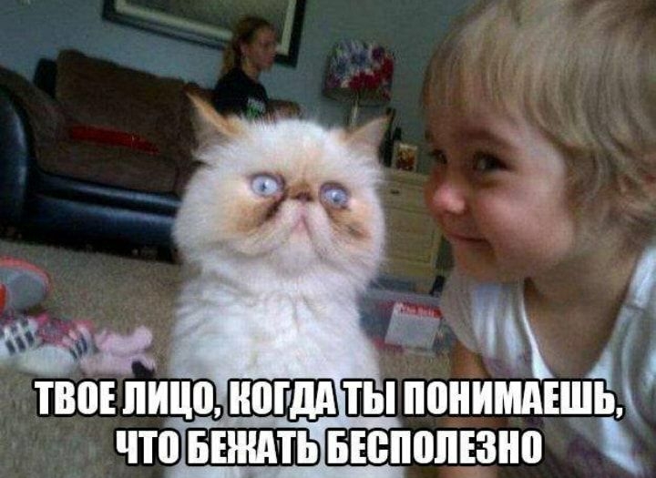 4 твоШицоьтыпонимдЕш ь чтоШЕШПЬвюполъзно