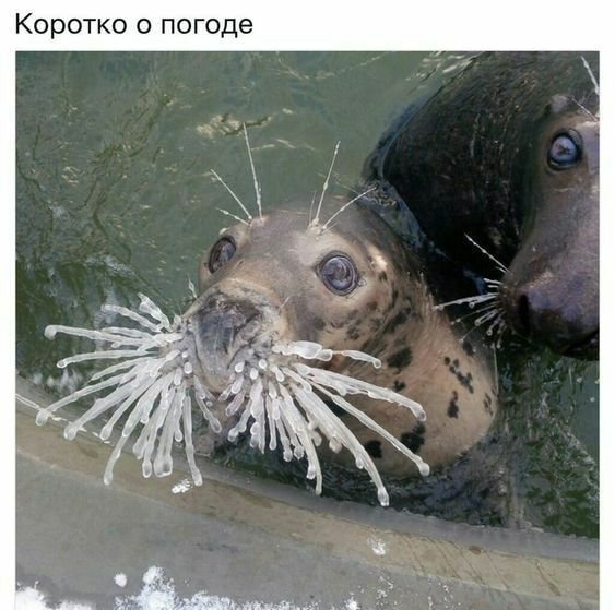 0 г 0 П о 0 К Т 0 Р 0 К
