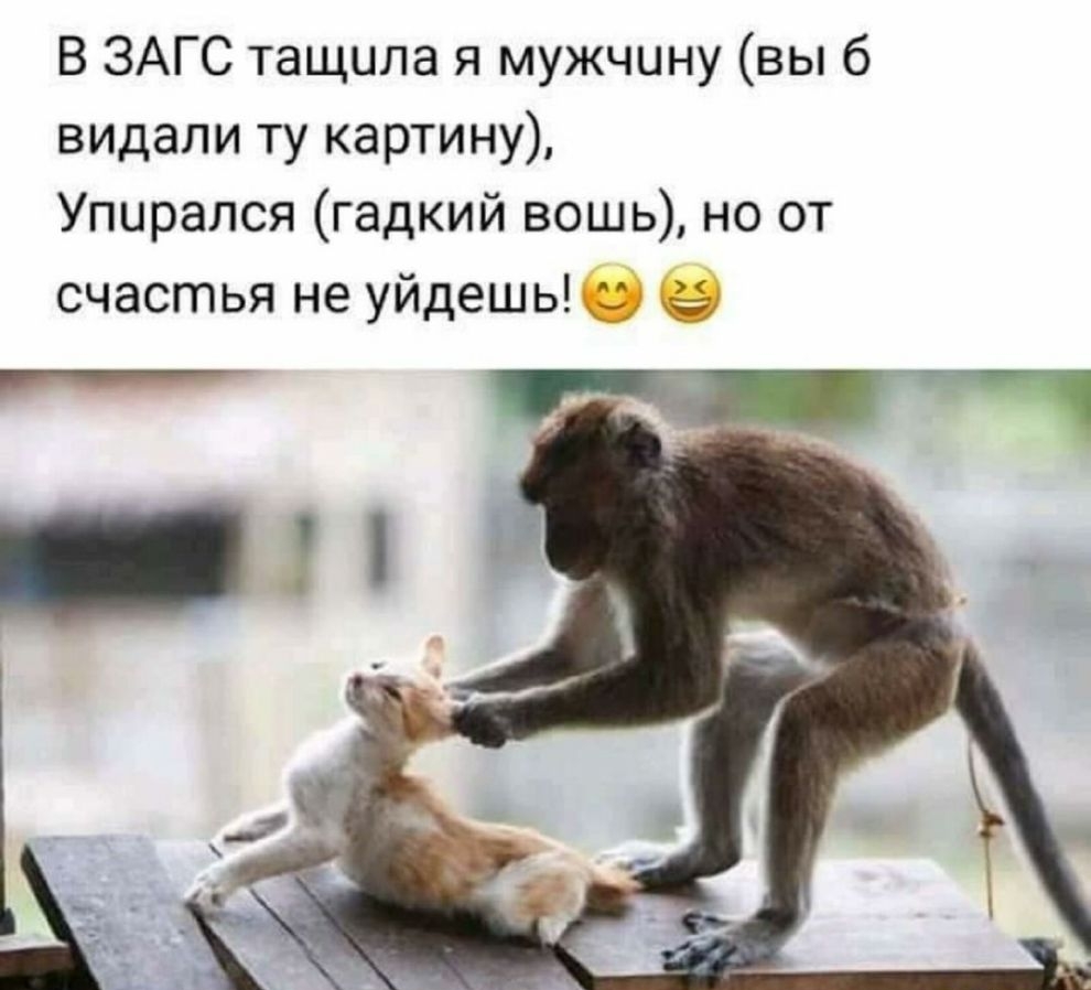 В ЗАГС тащила я мужчину вы 6 видали ту картину Упирался гадкий вошь но от счастья не уйдешыкід О