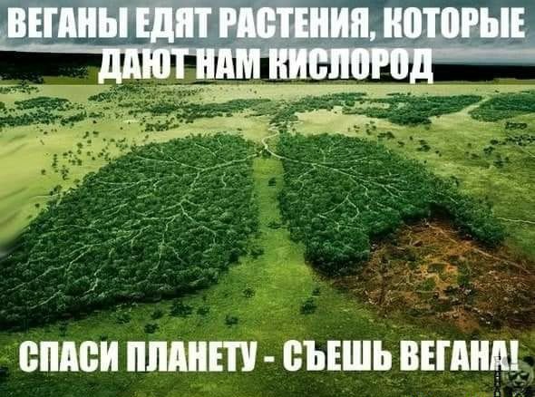 впдси плинт съъшь вшщ