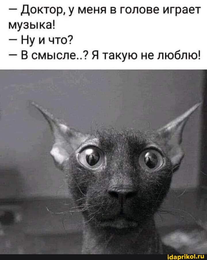 Доктор у меня в голове играет музыка Ну и что В смысле Я такую не люблю