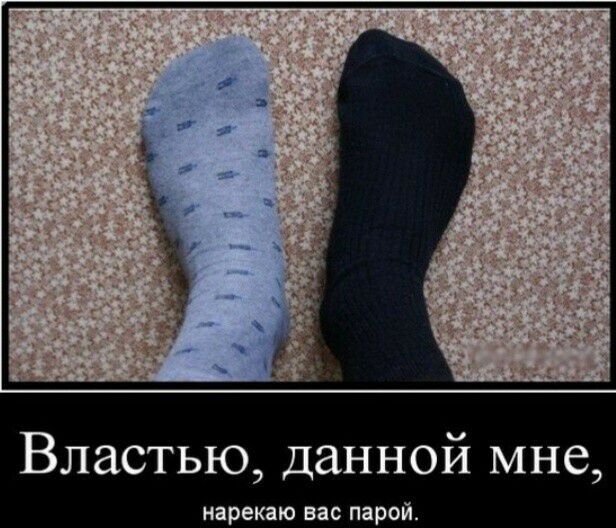 Властью данной мне нарекаю вас парой