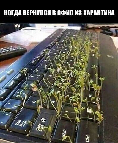 ИПМ ИШИМ В Ф ИЗ НАПИТКИ