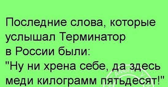 Последние слова которые услышал Терминатор в России были Ну ни хрена себе да здесь меди килограмм пятьдесят