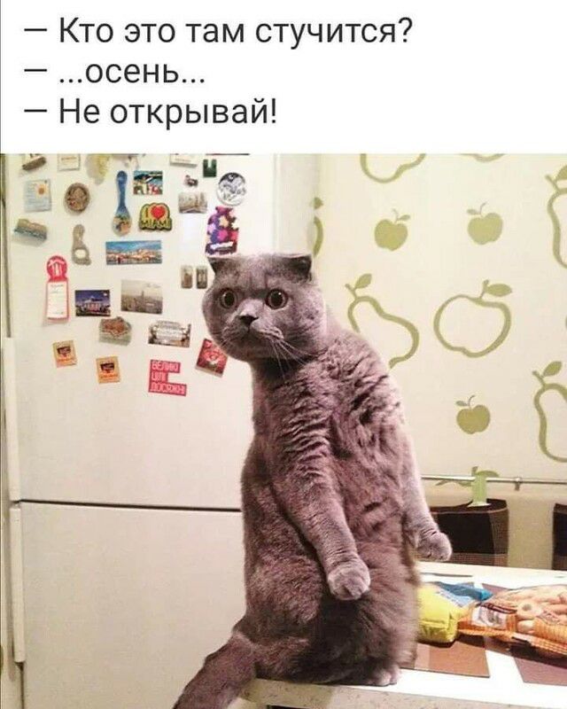 Кто это там стучится осень Не открывай