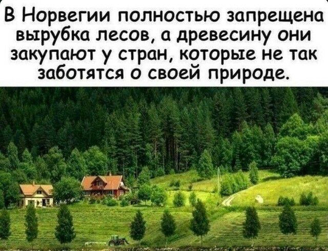 В Норвегии полностью запрещена вырубка лесов древесину они закупают у стран которые не так заботятся о своеи природе