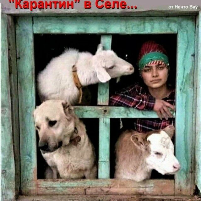_ КЦНТИН В СОЛО